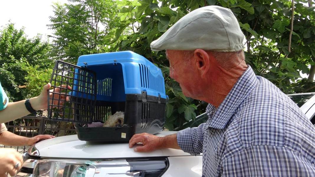 Yaren leylek ile eşi Nazlı'dan 10 gün sonra sevindiren haber! Su ve mineral kaybı ile enfeksiyon vardı 36